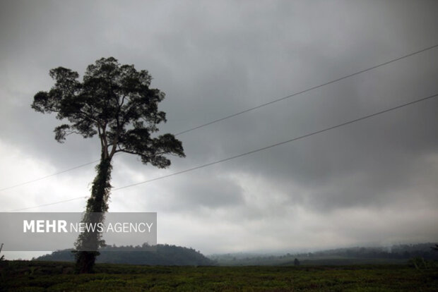 هوای مازندران ابری است؛ تردد عادی در راه‌ها