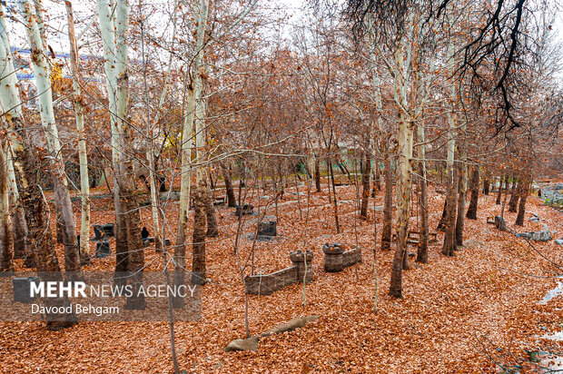 هوای مشهد پاک است