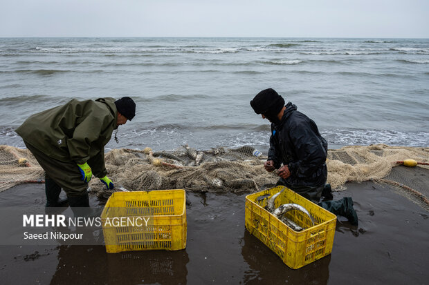 نفس صیاد به دریا بند است؛ معیشت سخت‌ صیادان شمال