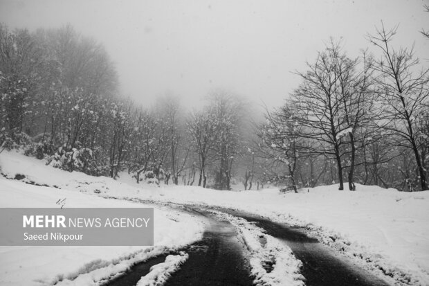 جمشیدی: بارش برف در ارتفاعات تالش؛ تردد با زنجیر چرخ امکانپذیر است