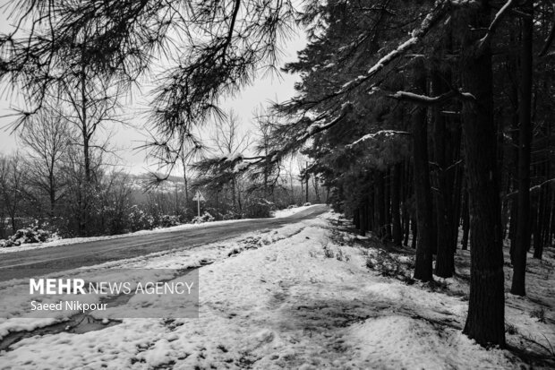 مرادی: توقف بارش برف در محورهای کوهستانی گیلان؛ جاده های استان باز است