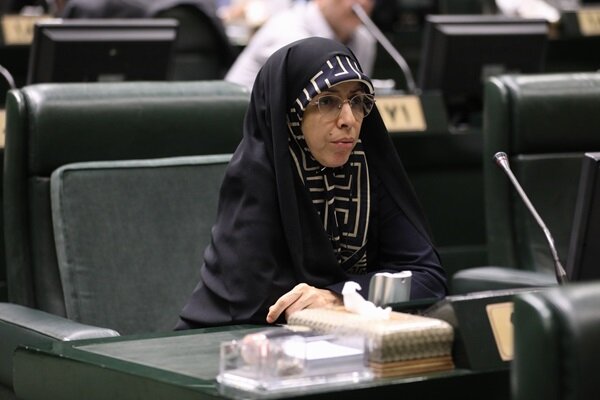 زمانی: حذف بودجه فرهنگی راه‌حل کسری بودجه نیست