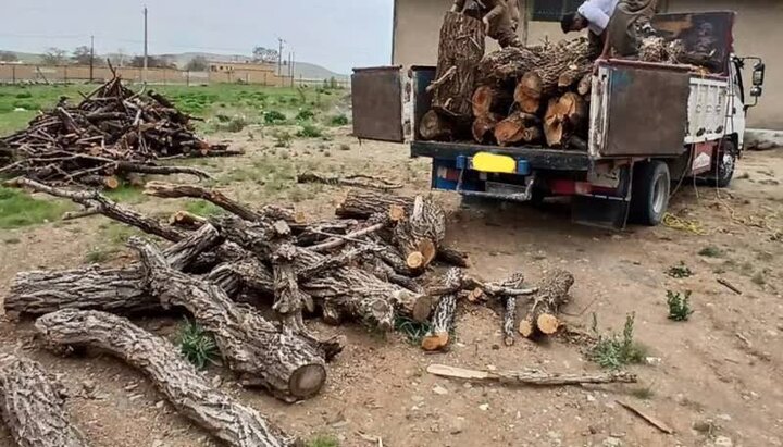 سرهنگ مرادی: مانور مقابله با قاچاق چوب در غرب مازندران برگزار شد