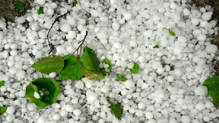 تگرگ شدید در روستای سرزه شمیل هرمزگان