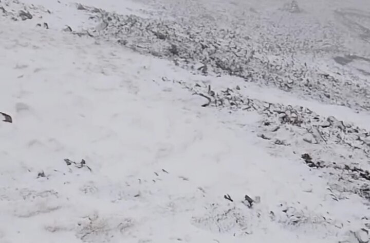 بارش اولین برف سال ۱۴۰۴ در منطقه تیکمه داش