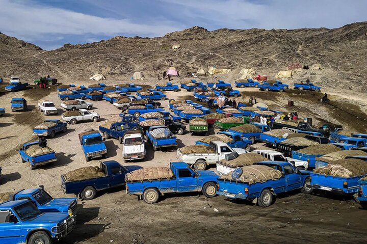 توقیف ۱۴ دستگاه خودرو شوتی حامل سوخت قاچاق در بندرعباس