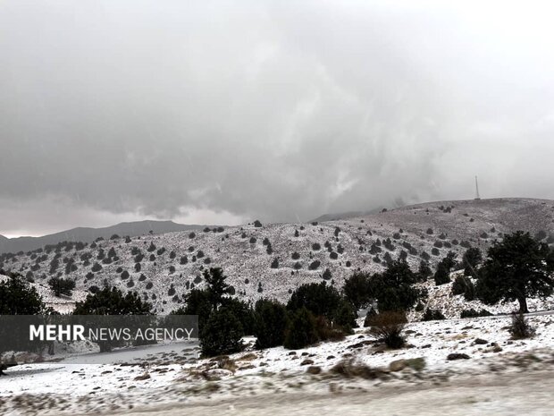 تصاویری از بارش برف در ارتفاعات شهر زنجان