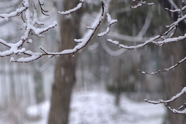 رستگاری: میانگین بارشها آبان ماه در آذربایجان غربی به ۵۴.۸میلیمتر رسید