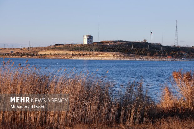 مهدی آقایی: ارتقای جایگاه محیط‌زیست در حقوق عامه ضروری است
