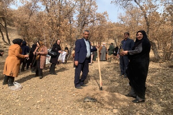پویش نهالکاری ایران بانو در بویراحمد