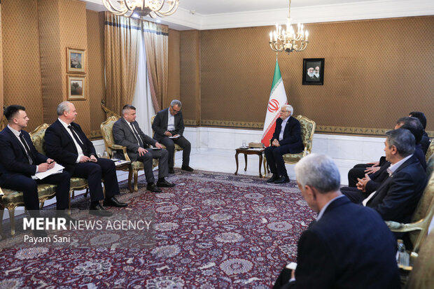 دیدار وزیر صنایع بلاروس با معاون اول رئیس جمهور