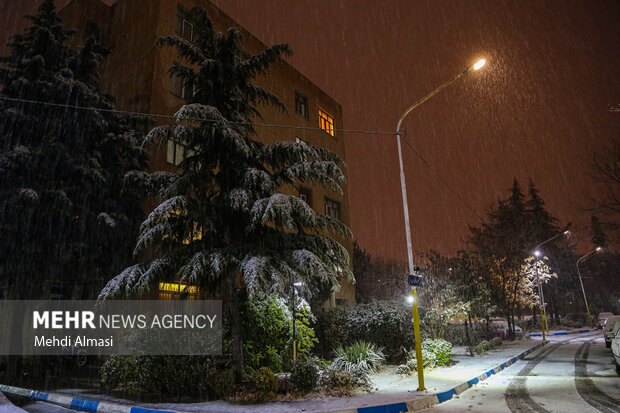بارش برف در زنجان