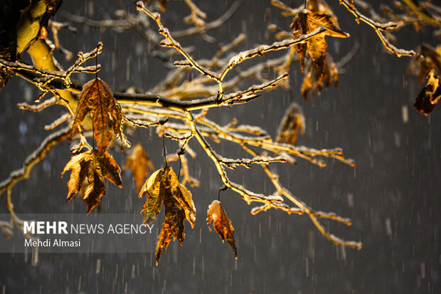 بارش برف در زنجان