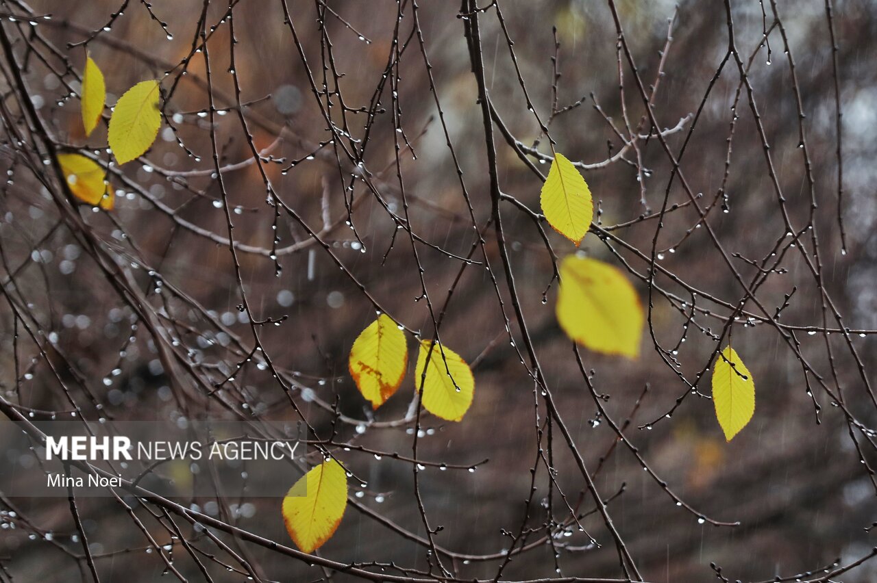 لرستان میزبان برف و باران؛ ۳۷۰ نیروی راهداری و ۹ تیم امدادی در صحنه