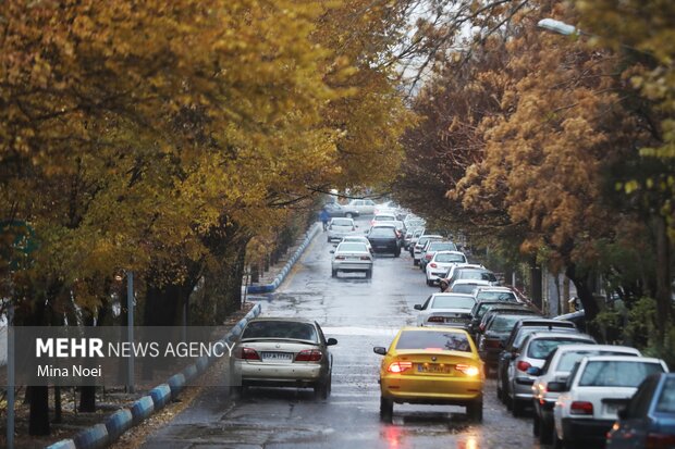تبریز بارانی شد