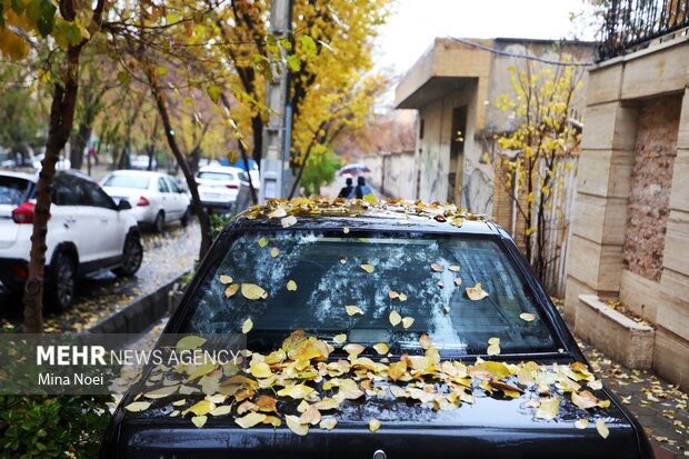 تبریز بارانی شد