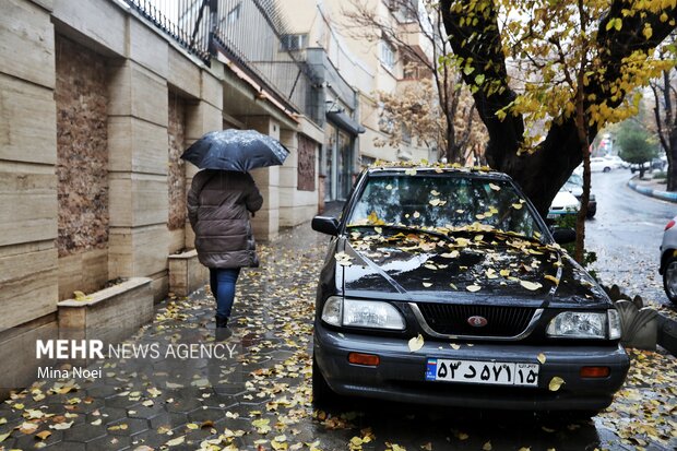 تبریز بارانی شد
