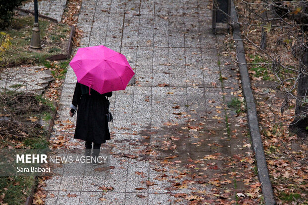 باران در کرمانشاه؛ از خیابان‌های خیس تا آسمان ابری شهر