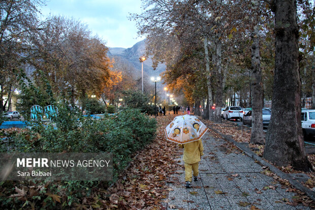 باران در کرمانشاه؛ از خیابان‌های خیس تا آسمان ابری شهر