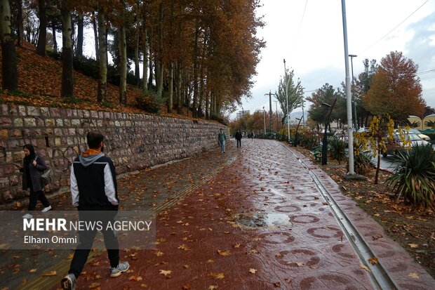 سنندج در آغوش باران؛ پاییزی پر از رنگ و طراوت
