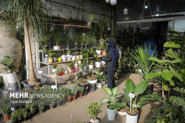 حال و هوای بازارهای مشهد به مناسبت روز مادر