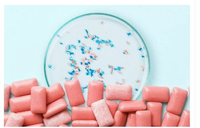 آدامسهایی که محیط زیست را مسموم میکنند؛ ضرورت فرهنگ سازی