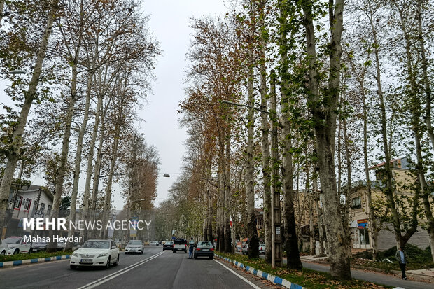 گیلان در یک نگاه