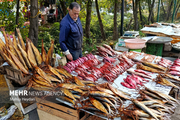 گیلان در یک نگاه