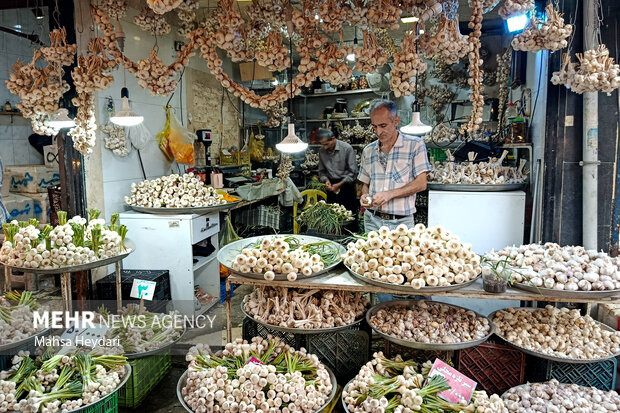 گیلان در یک نگاه