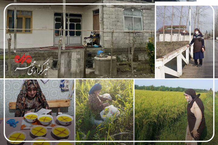 او یک مادر است؛ روایتی از زن گیلانی که قامتش زیر بار زندگی خم نشد