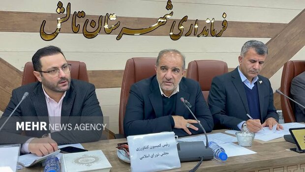 عسکری: کیوی فرصت طلایی ایران برای صادرات به روسیه و قفقاز است