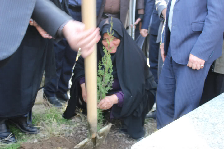 باقری: ۴.۶ میلیون اصله نهال در مازندران تولید شد