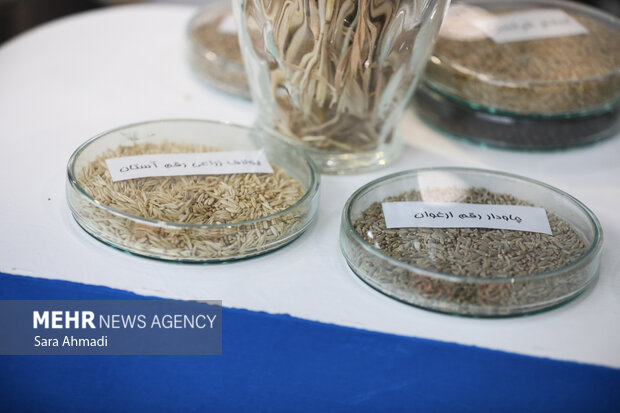 مدارس تا چه حد از رویکردهای پژوهشی دانش آموزان استقبال میکنند؟