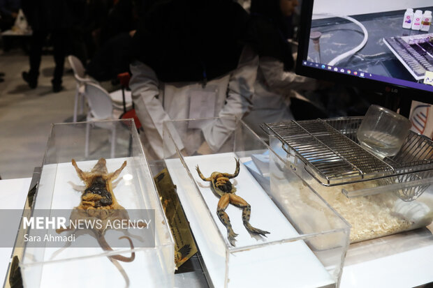 نمایشگاه هفته پژوهش و فناوری