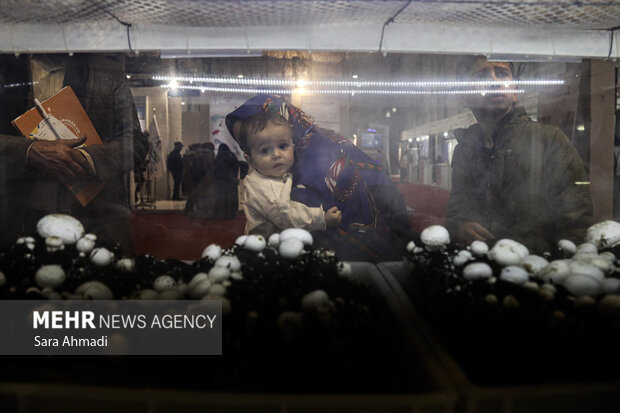 نمایشگاه هفته پژوهش و فناوری