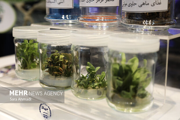 نمایشگاه هفته پژوهش و فناوری