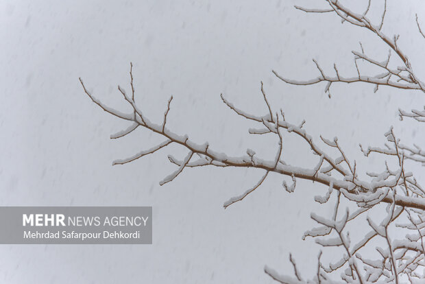 اولین برف پاییزی قله تشکر هماگ را سفیدپوش کرد