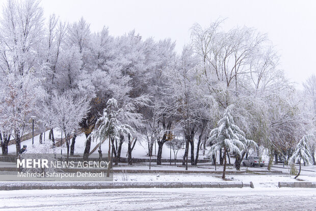 بارش اولین برف پاییزی در منطقه پول کجور