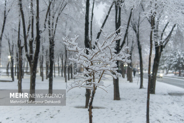 شهرکرد، بام ایران سفید پوش شد