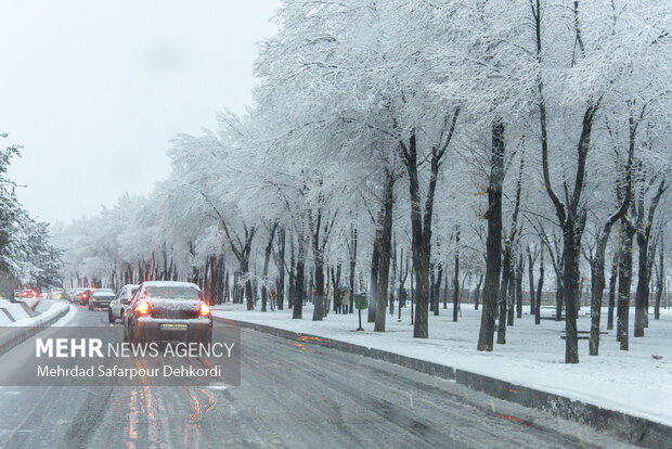 شهرکرد، بام ایران سفید پوش شد