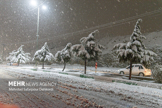 ارغوانی: برف و باران در راه کاشان است