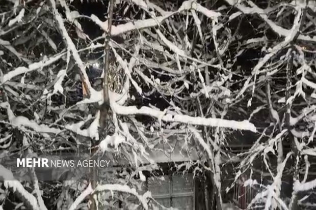 بارش برف در مرکز و محورهای کوهستانی جنوب آذربایجان غربی آغاز شد