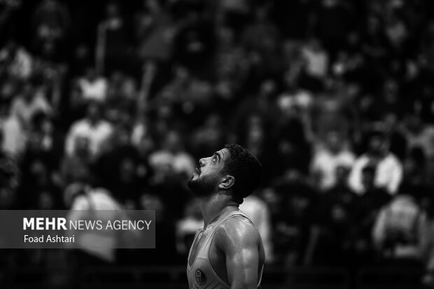 فینال لیگ برتر کشتی آزاد