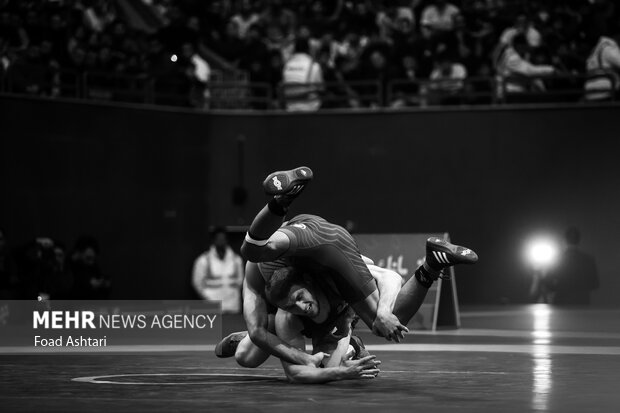 فینال لیگ برتر کشتی آزاد