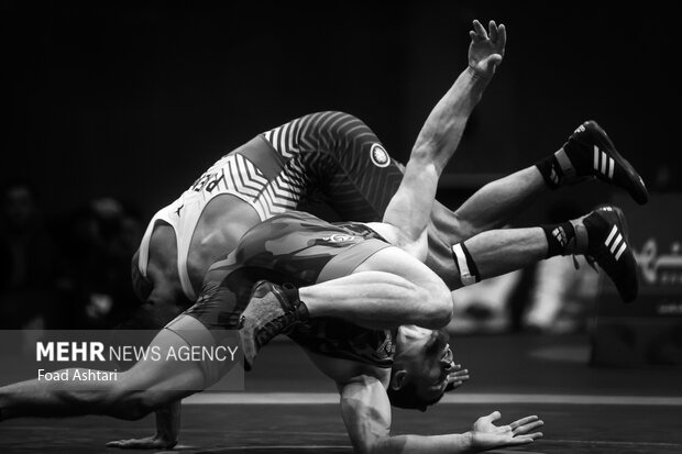 فینال لیگ برتر کشتی آزاد