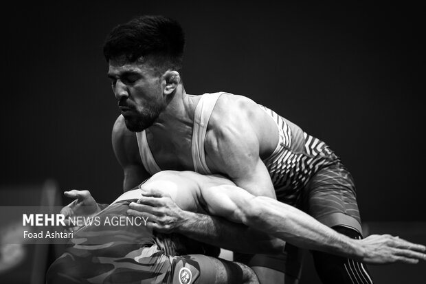 فینال لیگ برتر کشتی آزاد