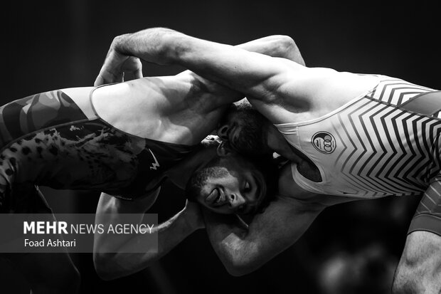 فینال لیگ برتر کشتی آزاد