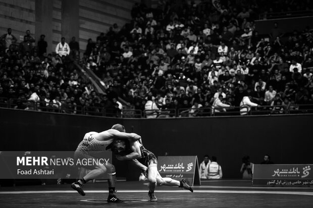 فینال لیگ برتر کشتی آزاد