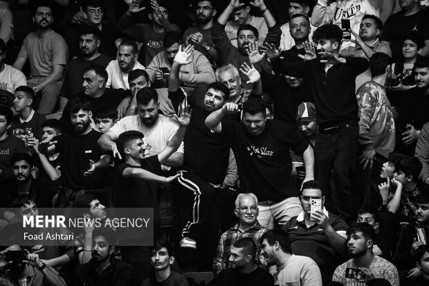 فینال لیگ برتر کشتی آزاد