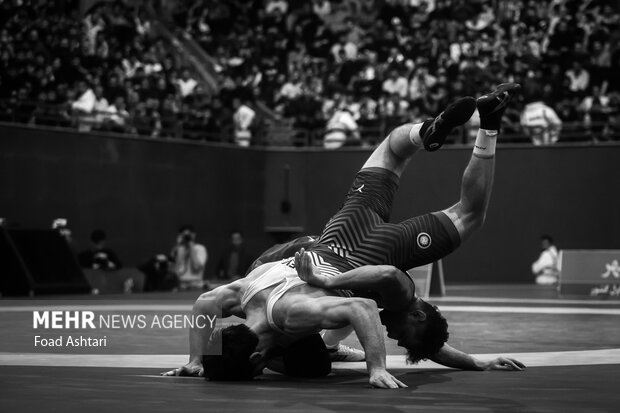 فینال لیگ برتر کشتی آزاد